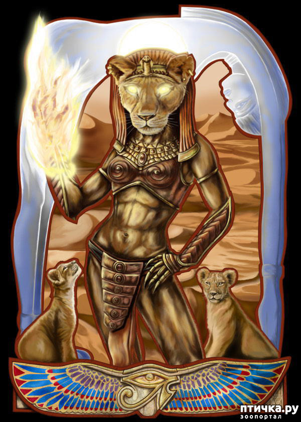 ���� 4: ������