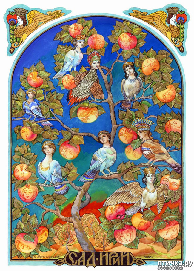 ���� 3: ����