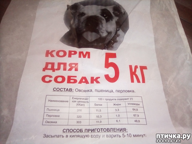 ���� 11: ������ ������ ������������� � ������ ������.