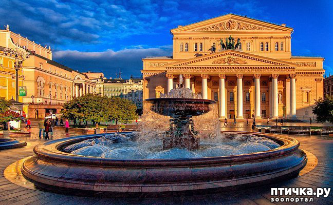 ���� 1: ������� �����- ������ ���������