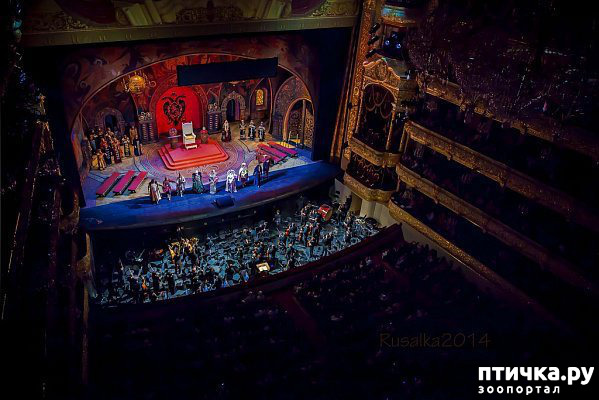 ���� 2: ������� �����- ������ ���������