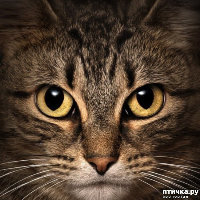 ���� 1: ���