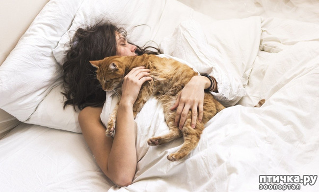 ���� 2: ����� ������� ������ �� ���������