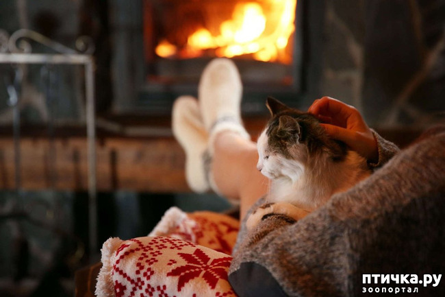 ���� 3: ����� ������� ������ �� ���������