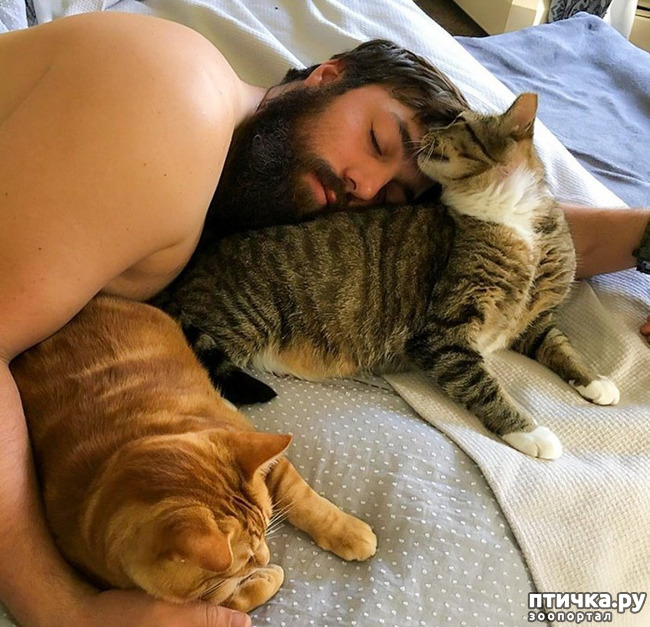 ���� 5: ����� ������� ������ �� ���������