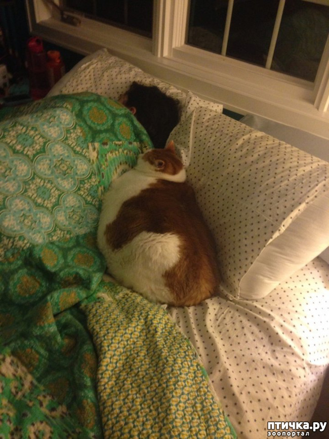 ���� 6: ����� ������� ������ �� ���������