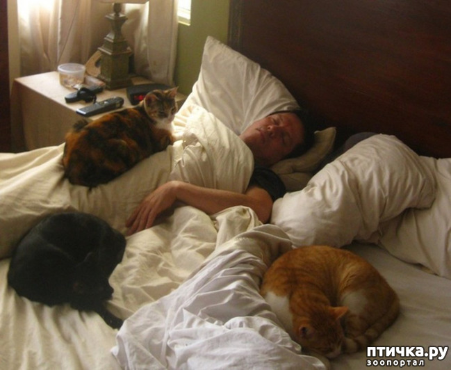 ���� 7: ����� ������� ������ �� ���������