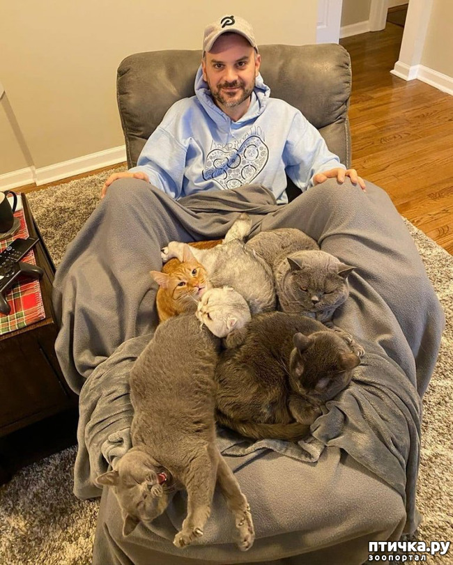 ���� 9: ����� ������� ������ �� ���������