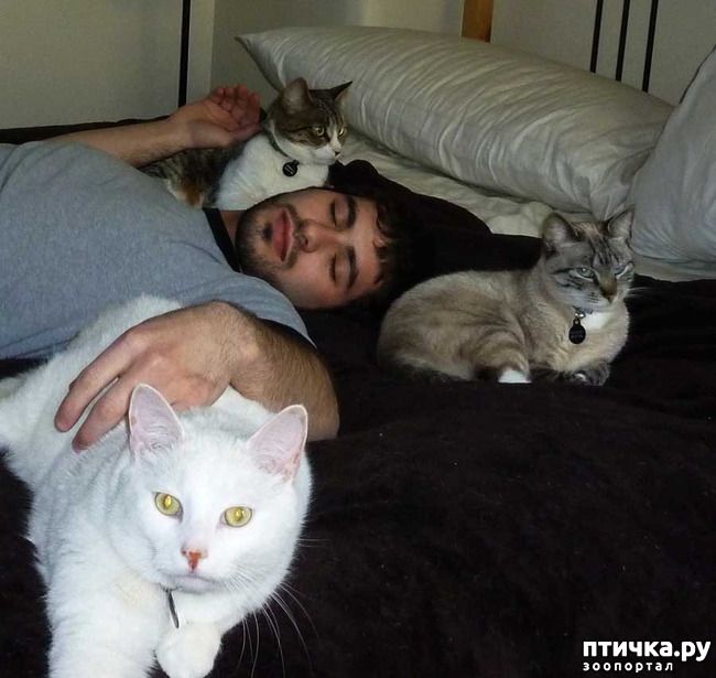 ���� 10: ����� ������� ������ �� ���������