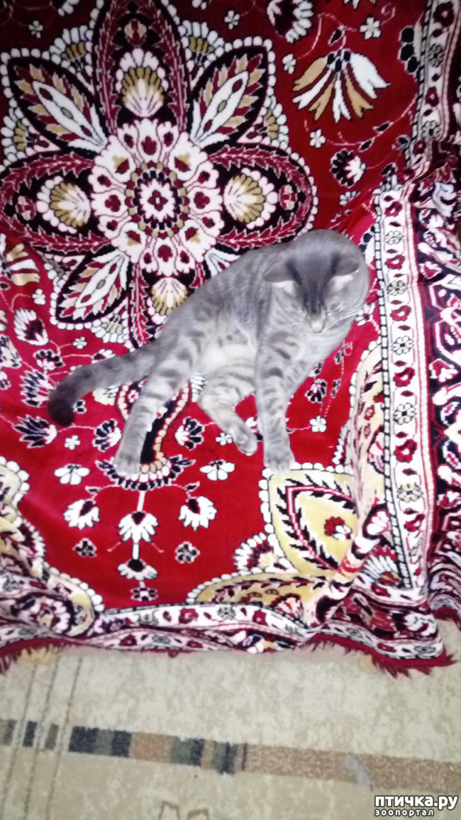  3:   ,       