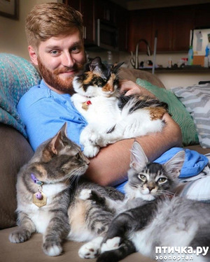 ����: ����� ������� ������ �� ���������