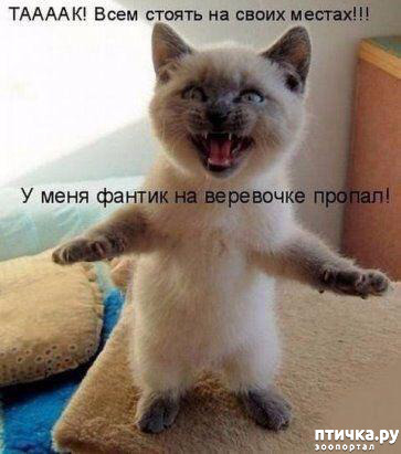 ���� 1: ������� ����?