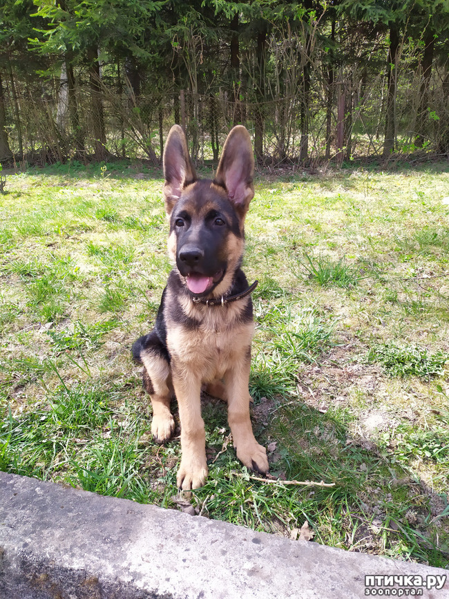 ���� 1: ����� ���������� ���� ���� �� �����