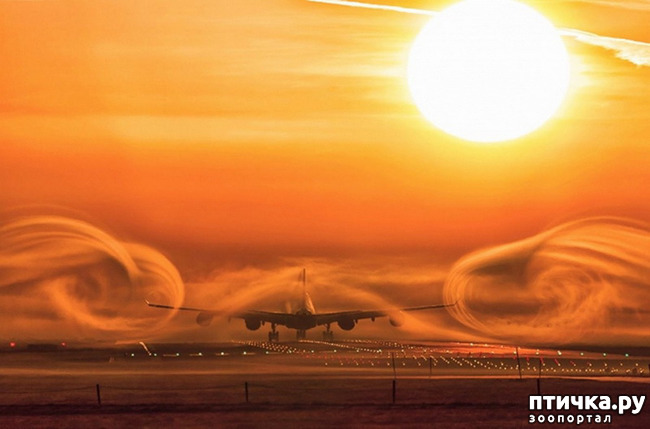 ���� 3: �� �������!