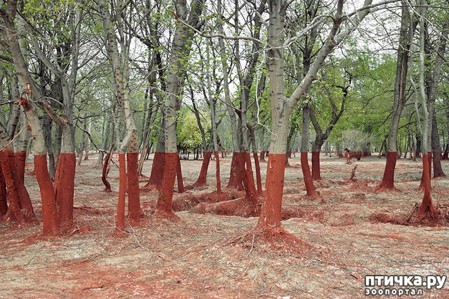 ���� 4: �� �������!