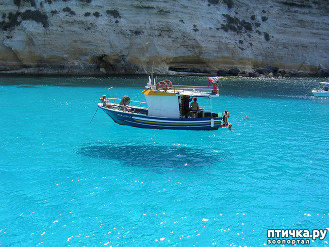 ���� 5: �� �������!