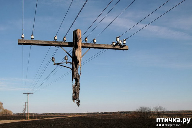 ���� 8: �� �������!