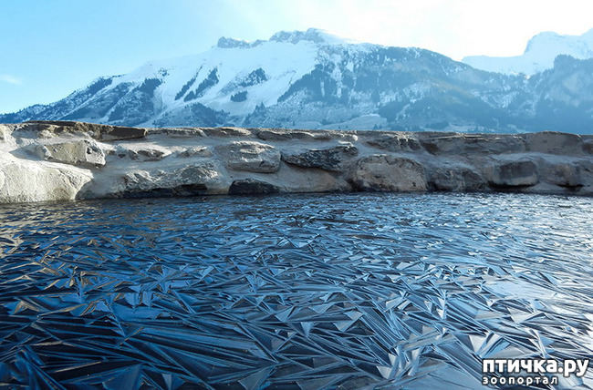 ���� 10: �� �������!