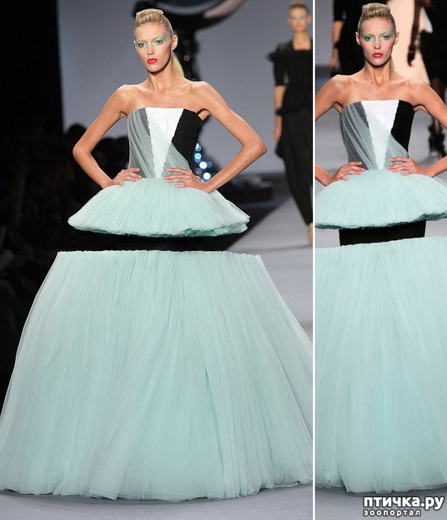 ���� 11: �� �������!