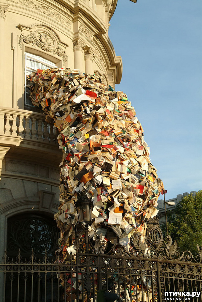 ���� 12: �� �������!