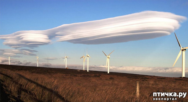 ���� 14: �� �������!