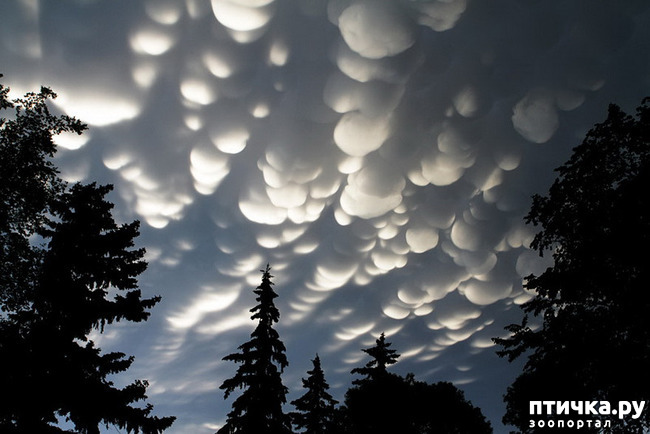 ���� 16: �� �������!