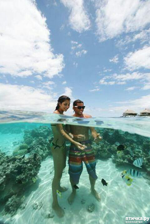 ���� 19: �� �������!