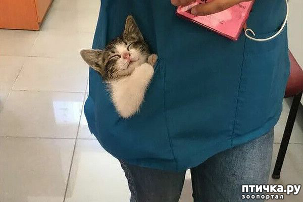 ���� 1: ��� ���������� ���� �� ���� ��������