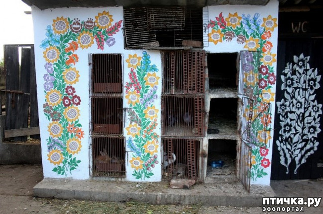 ���� 6: ����� �������� ������� � ����