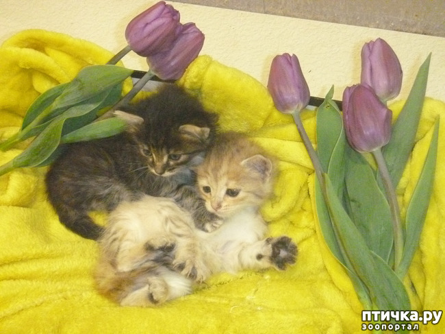 ���� 2: ��������� �� ��������!