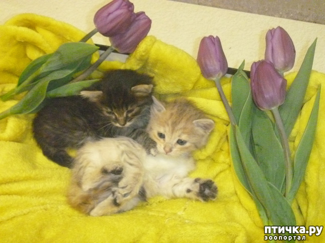 ���� 3: ��������� �� ��������!