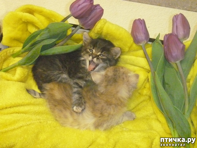 ���� 7: ��������� �� ��������!