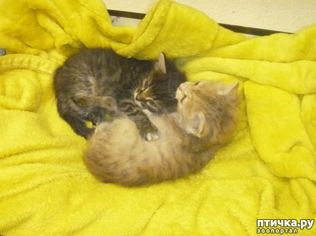 ���� 8: ��������� �� ��������!