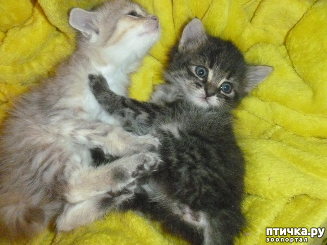 ���� 6: ��������� �� ��������!