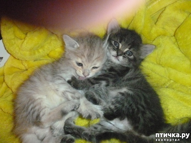 ���� 4: ��������� �� ��������!