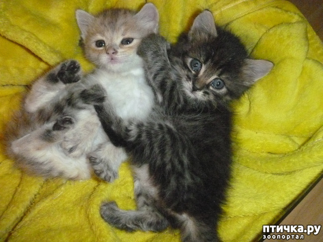 ���� 10: ��������� �� ��������!