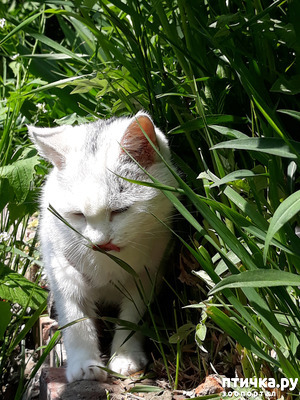 ����: ��� ������� � ��� ����� ����