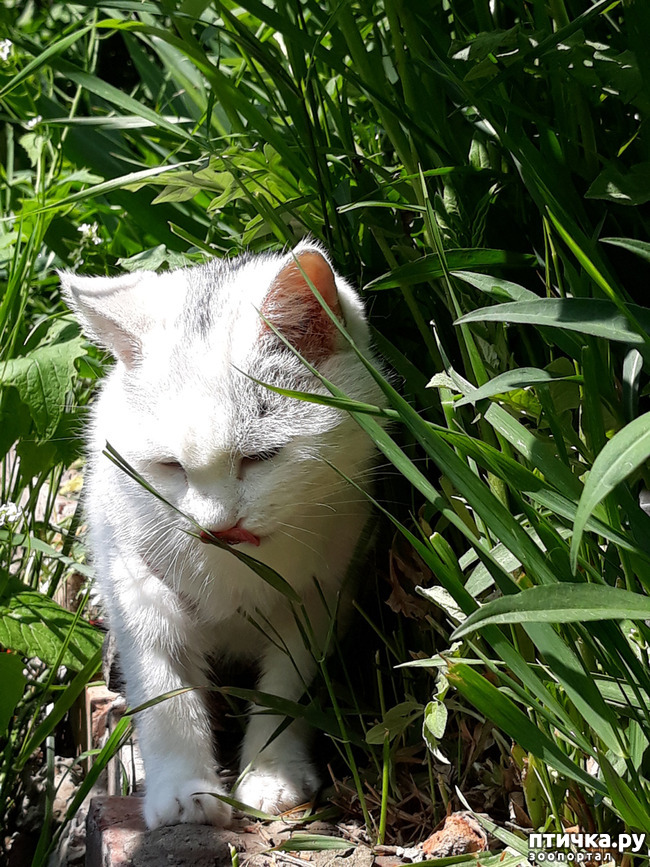 ���� 1: ��� ������� � ��� ����� ����