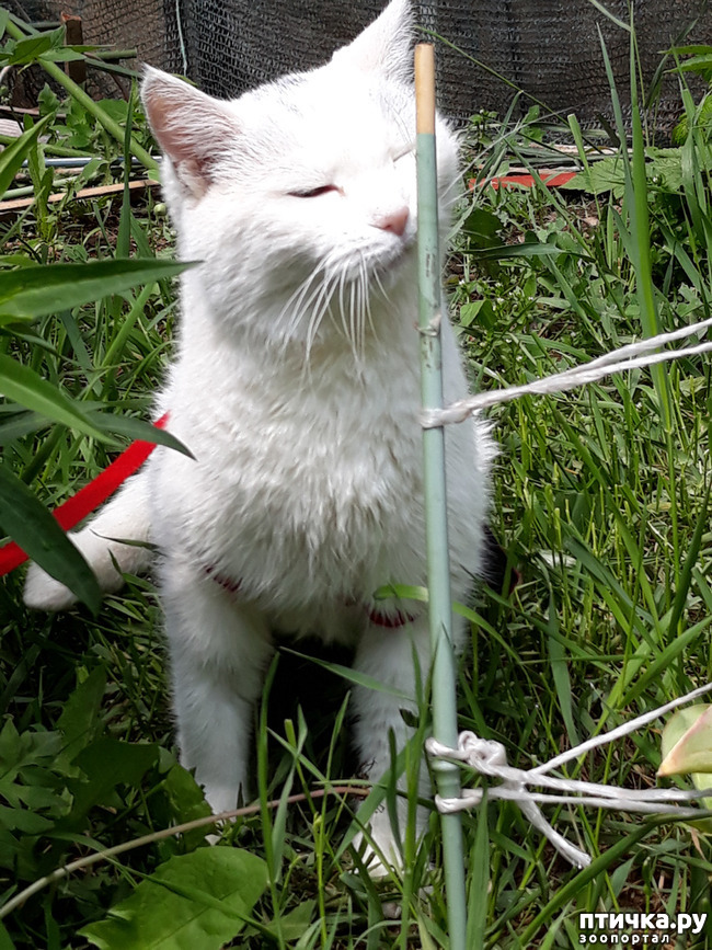 ���� 2: ��� ������� � ��� ����� ����