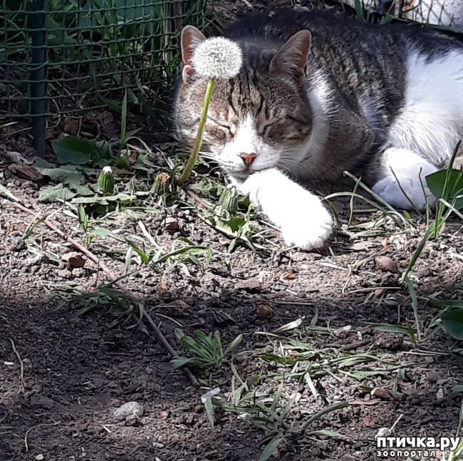 ���� 3: ��� ������� � ��� ����� ����