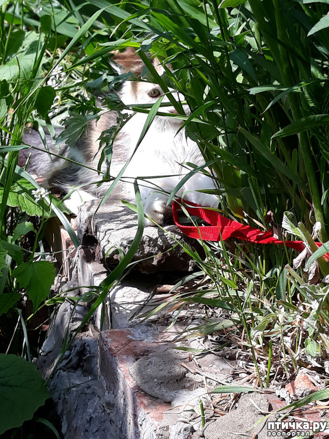 ���� 4: ��� ������� � ��� ����� ����