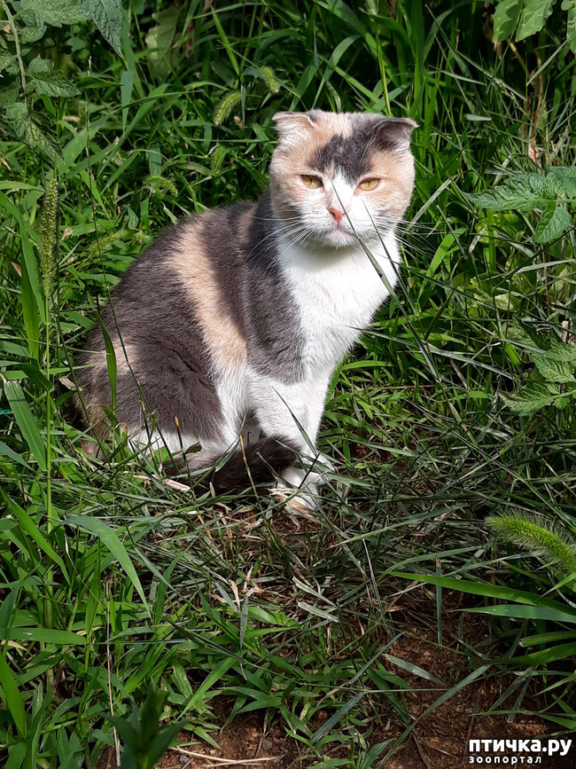 ���� 5: ��� ������� � ��� ����� ����