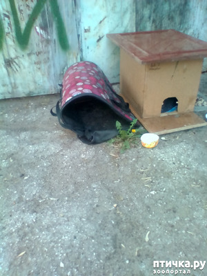 ����: ��������� �� ��������!