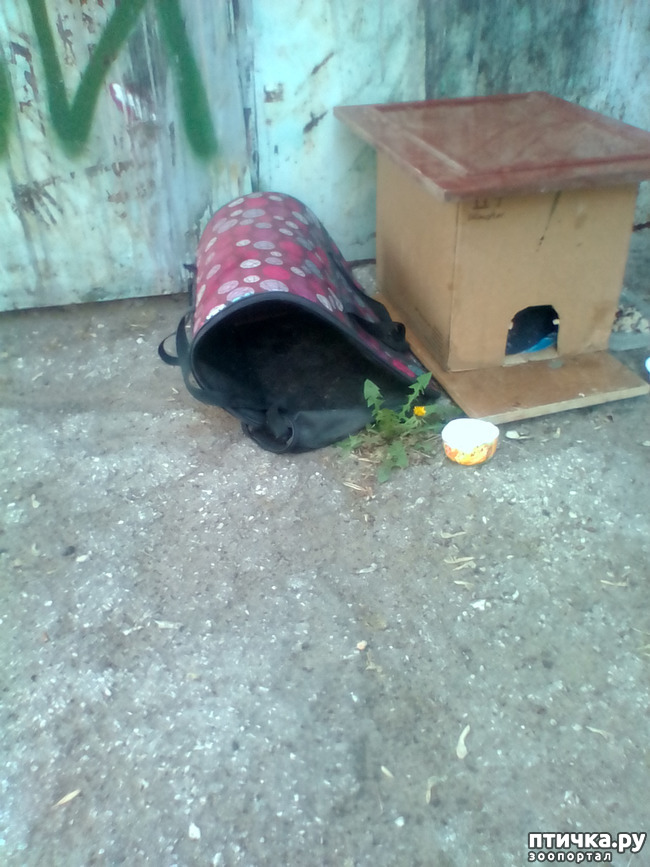 ���� 1: ��������� �� ��������!