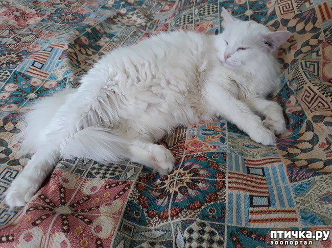 ���� 6: ��� ������� � ��� ����� ����