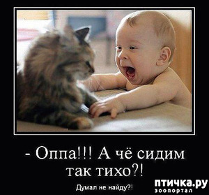 фотография: Немного юмора фото: Немного юмора