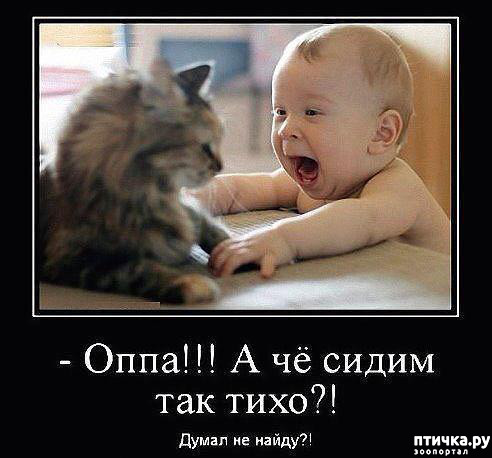 ���� 1: ������� �����