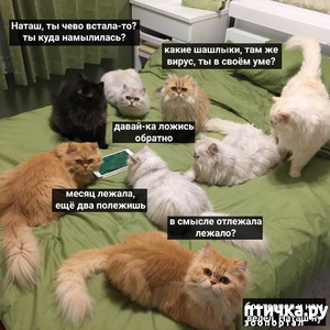 ����: ����� �������