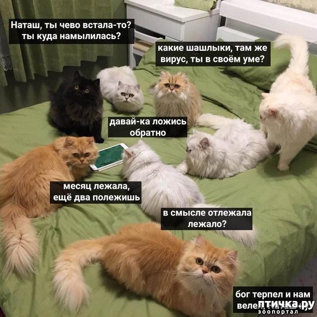 ���� 1: ����� �������