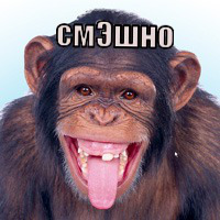 ����: ���� �� ���������